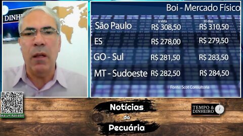 Boi gordo padrão China a R$330@. Mercado com poucos negócios