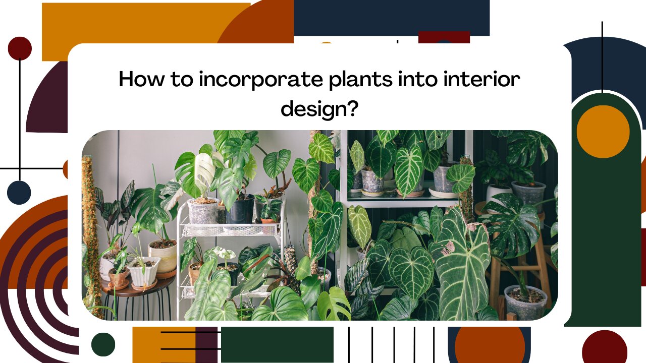 How to incorporate plants into interior design?