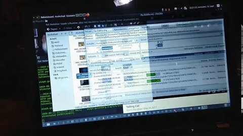 VID 20200915 221856 miawmiawmiaw