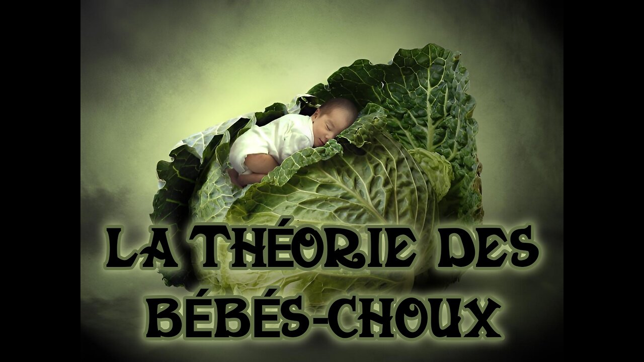 La théorie des bébés-choux