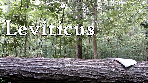 Leviticus | The Holy Bible | Old Testament 3/39