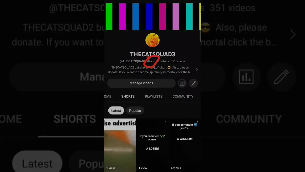 WE'RE ABOUT TO HIT 500 SUBSCRIBERS!! 💯😼😎