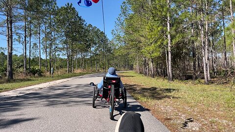 Corinthian Recumbent - Flatwoods Park Trail