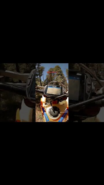 Pivot turn Thursday's!