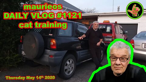 maurieos DAILY VLOG #1121 cat training