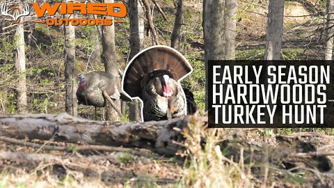 Early Season Hardwoods Turkey Hunt