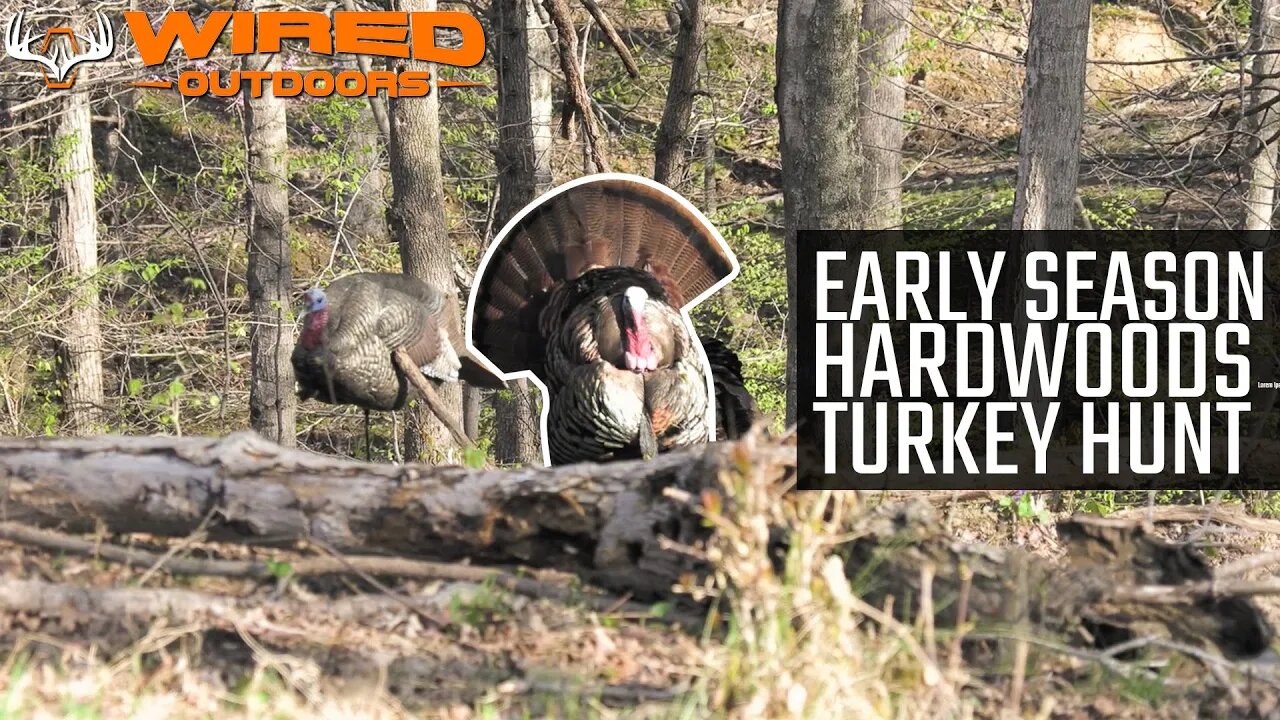 Early Season Hardwoods Turkey Hunt