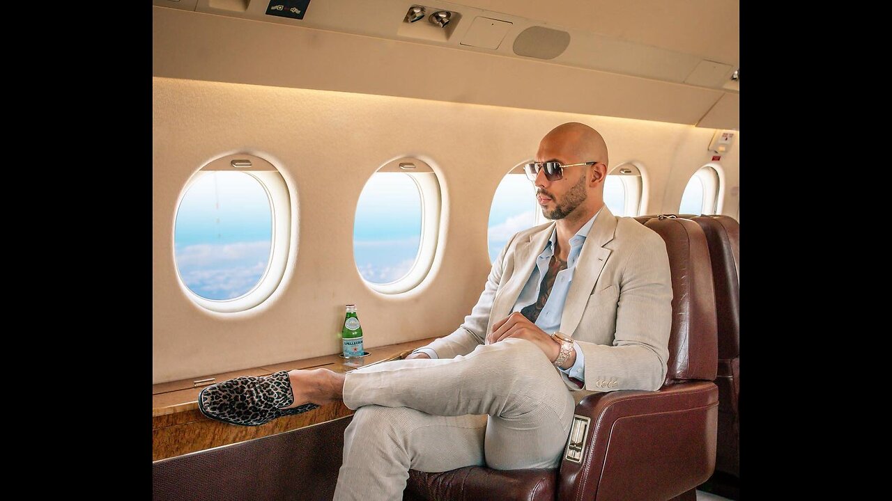 Find Out About TATE's Creation "The Real World"