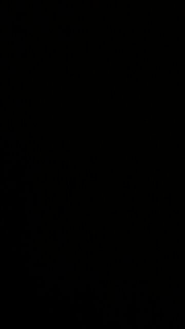 Private federal reserve note