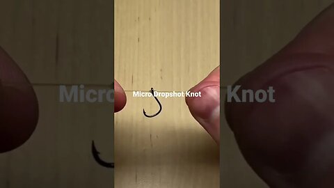 Micro Dropshot Knot for small hooks. #fishing #fishingknots #dropshot #shorts