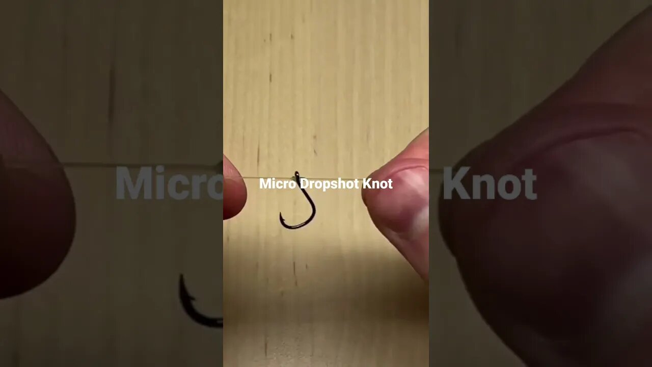 Micro Dropshot Knot for small hooks. #fishing #fishingknots #dropshot #shorts