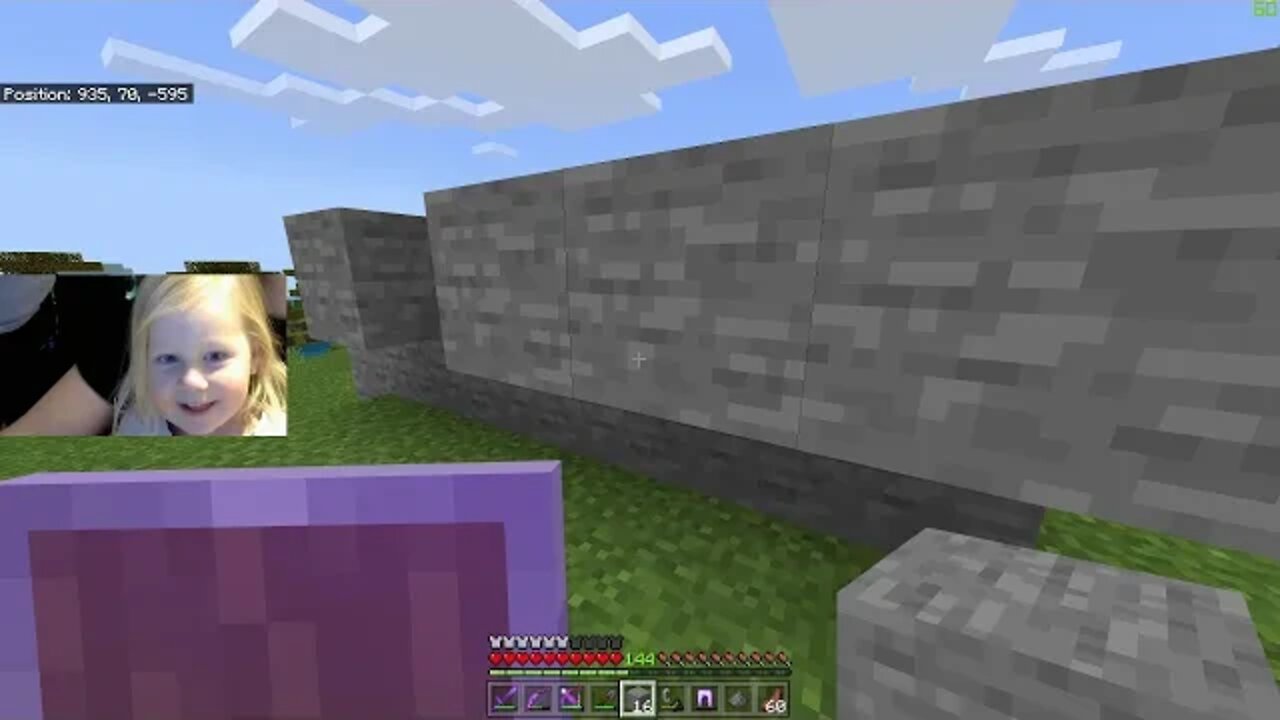 Minecraft | Building a wall with Avigael