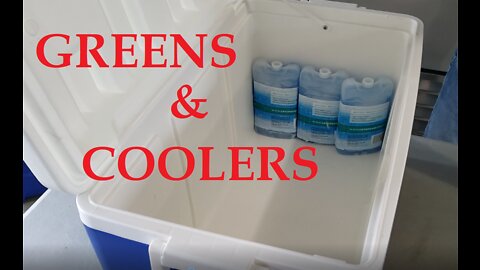 How We Pack Greens In Coolers