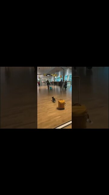 I am going to back my home you not subcribe my channel | #short | short