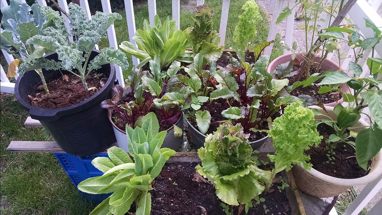 Spring Detox and Health Recovery