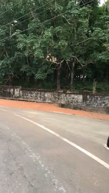 FAFO: Indian slap brawl. No context.