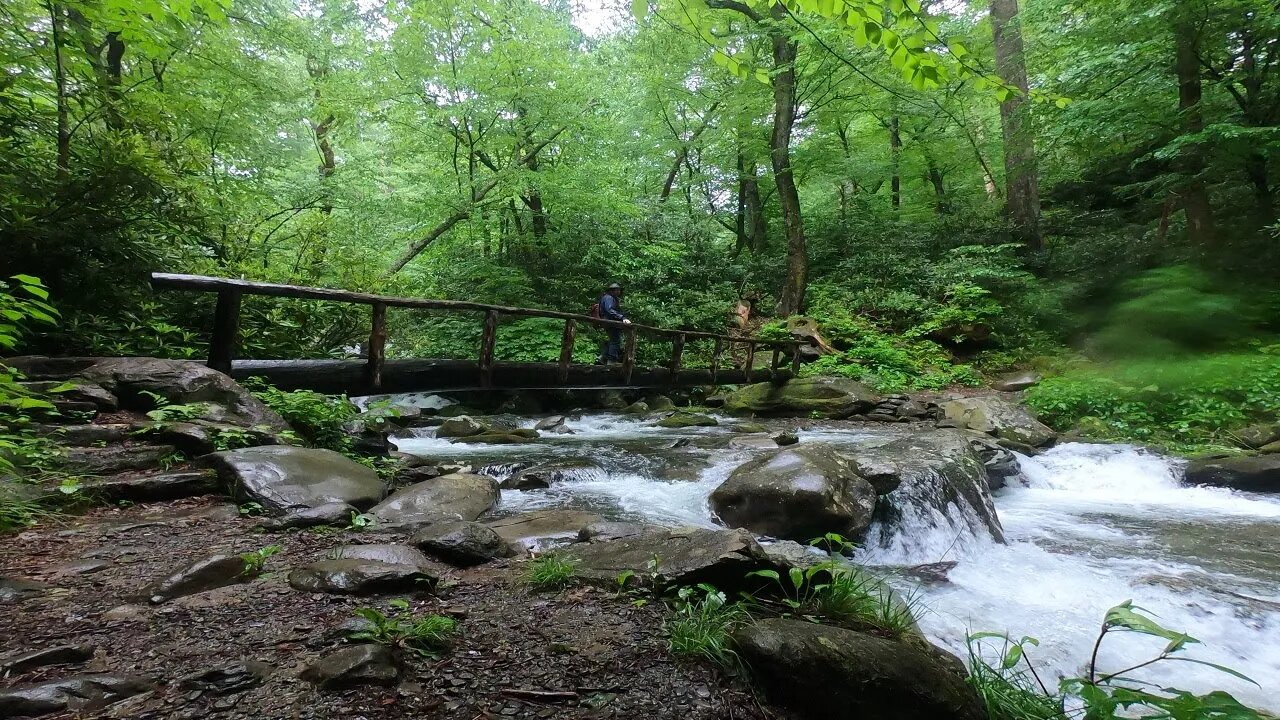 Mini Golf & Mtns mini vlog Ep3/5: Smokies nat'l park- Hen Wallow Falls & Albright Grove HIKES