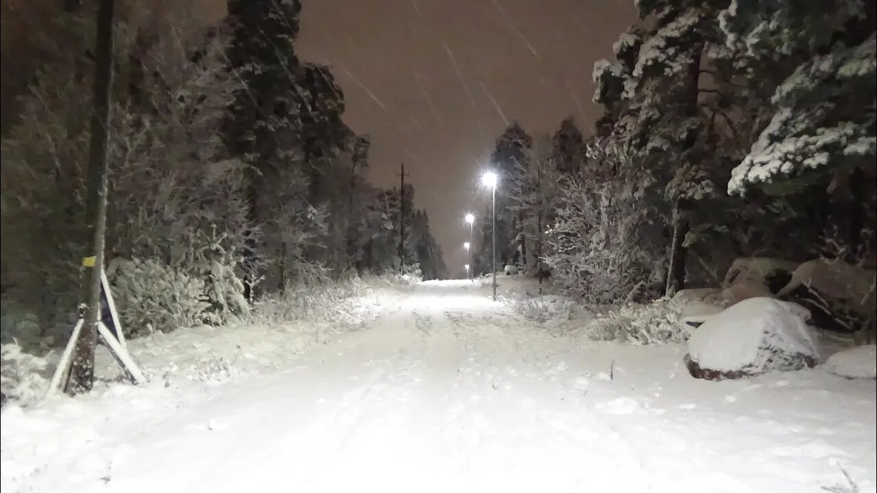 Snow! Night walk in a snowy bliss! 3.1.2021