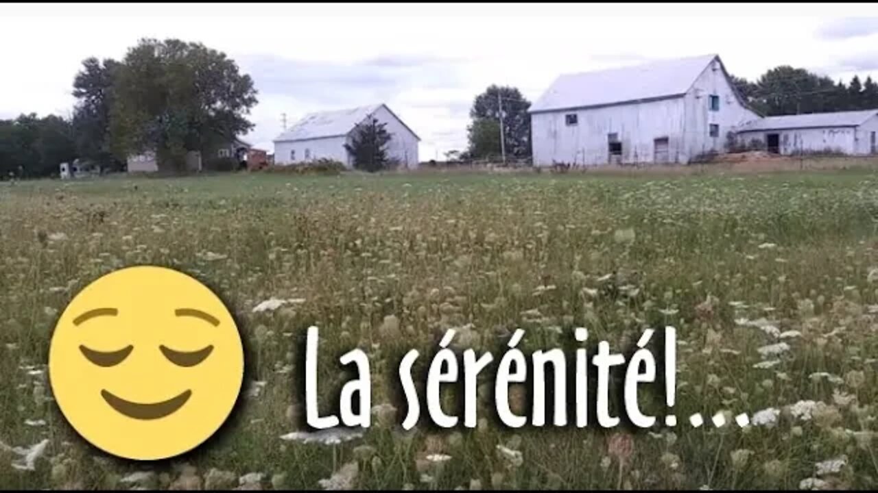 L'AUTOSUFFISANCE et la SÉRÉNITÉ - #124