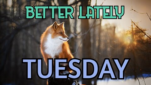 Better Lately - Tuesday