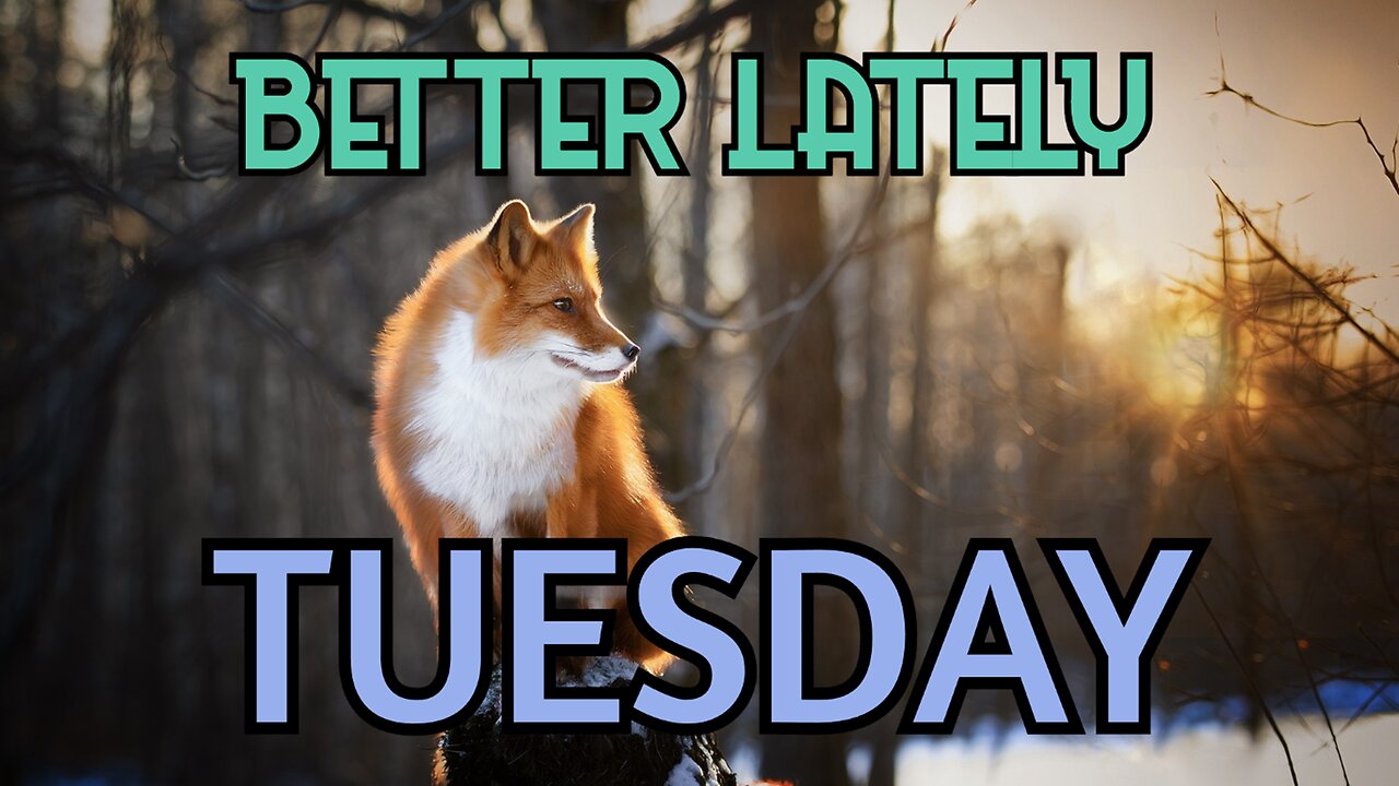 Better Lately - Tuesday