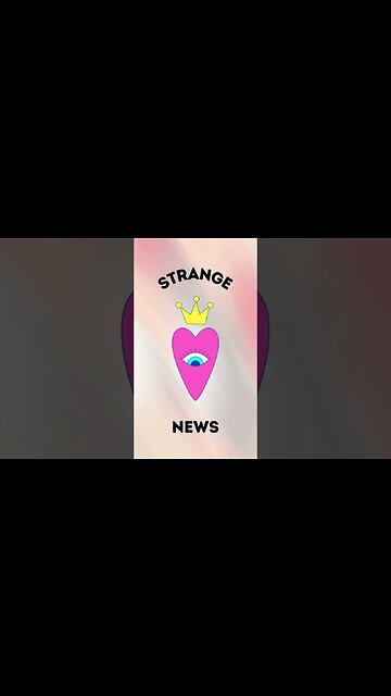 Sunshinery's | Strange News Ep. 1 | Dog or Bear | #strangenews
