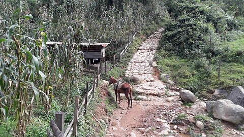 Challenging Hike to Waterfall (Hills of Veracruz, Mexico)