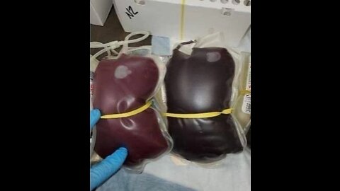 PURE BLOOD OR NO BLOOD..? BASIC QUESTION.