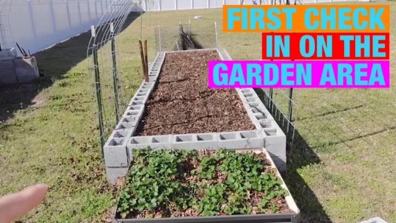 First check in on the garden area