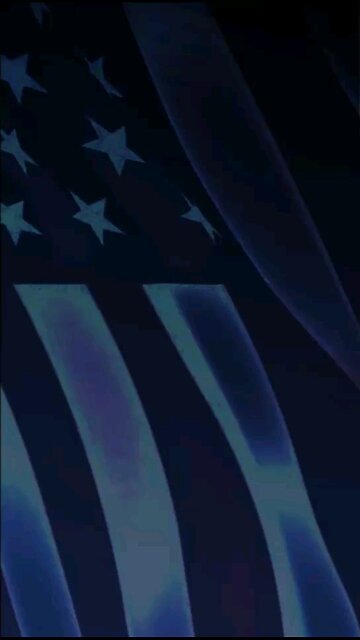 Vigilante Cheetah taking our country back