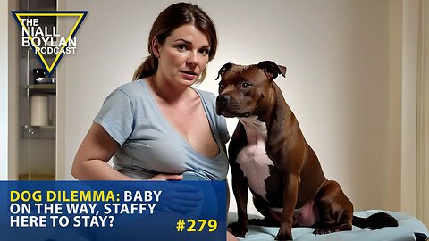 #279 Dog Dilemma Baby on the Way Staffy Here to Stay? Trailer