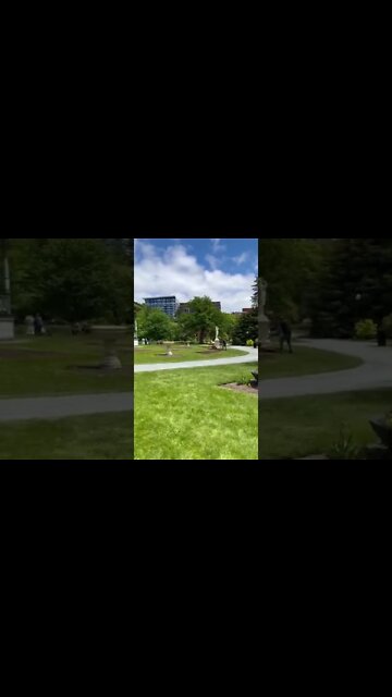 Halifax Content Creators! I am looking for collabs