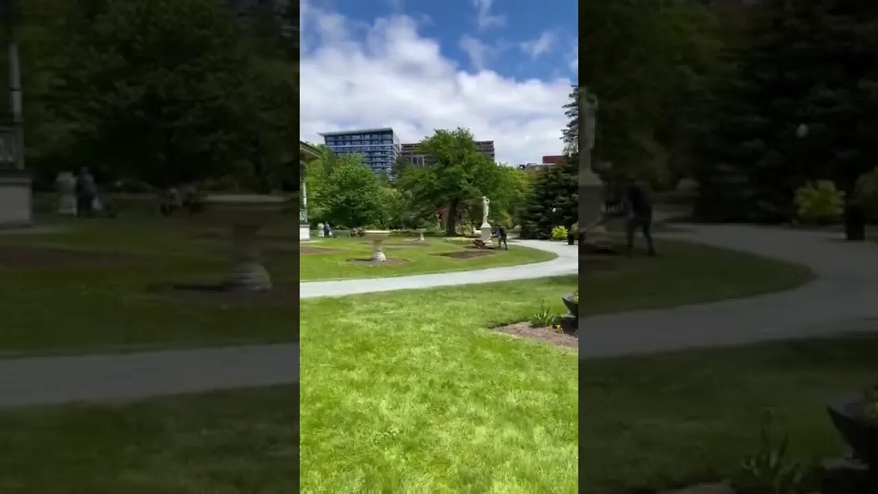 Halifax Content Creators! I am looking for collabs