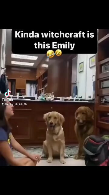 Tiktok video - Funny