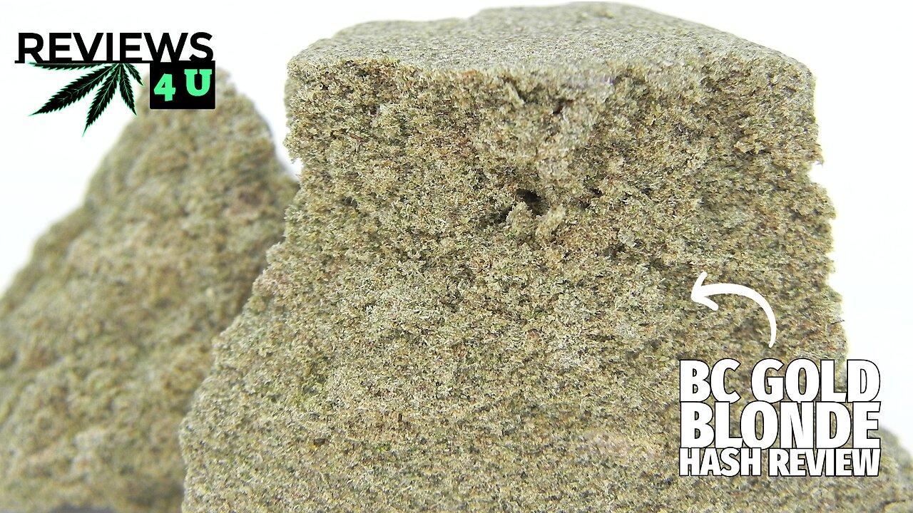 BC GOLD BLONDE HASH REVIEW | REVIEWS 4 U - ELEPHANT GARDEN