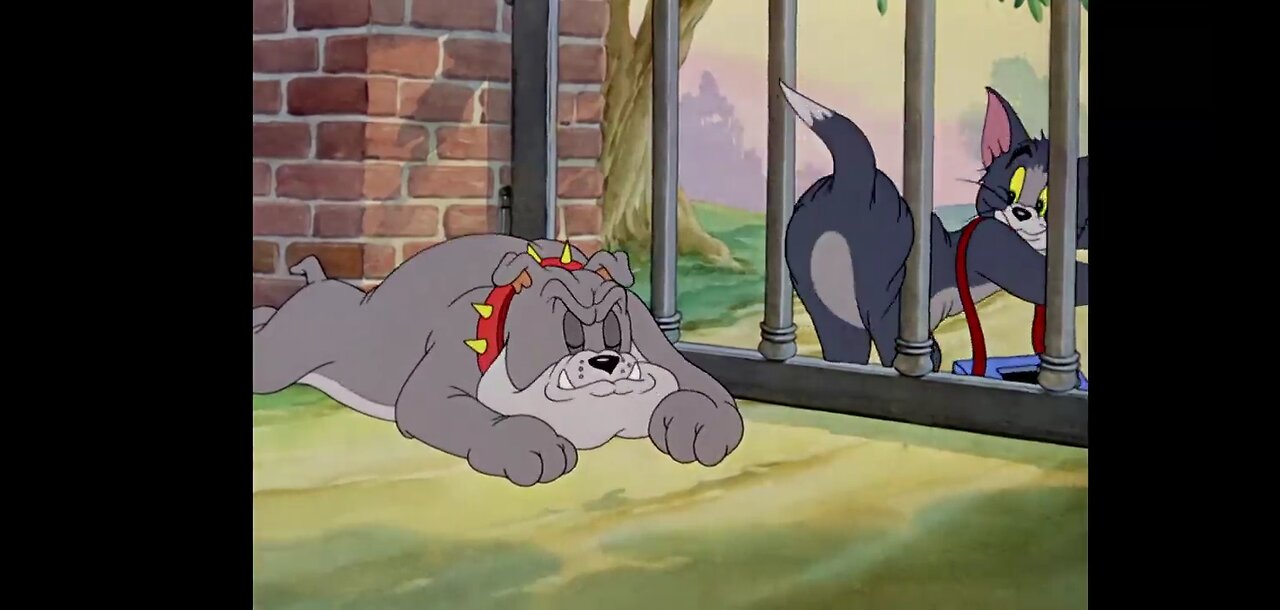 Tom and Jerry cartoon