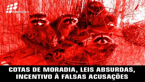 COTAS DE MORADIA, LEIS ABSURDAS, INCENTIVO À FALSAS ACUSAÇÕES (RACCOONING RACCOON)