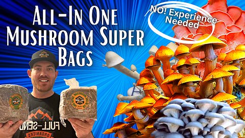 DO IT YOUR DAMN SELF! All-In-One Mushroom grow bag! Easy and Fast! No Experience Needed!!