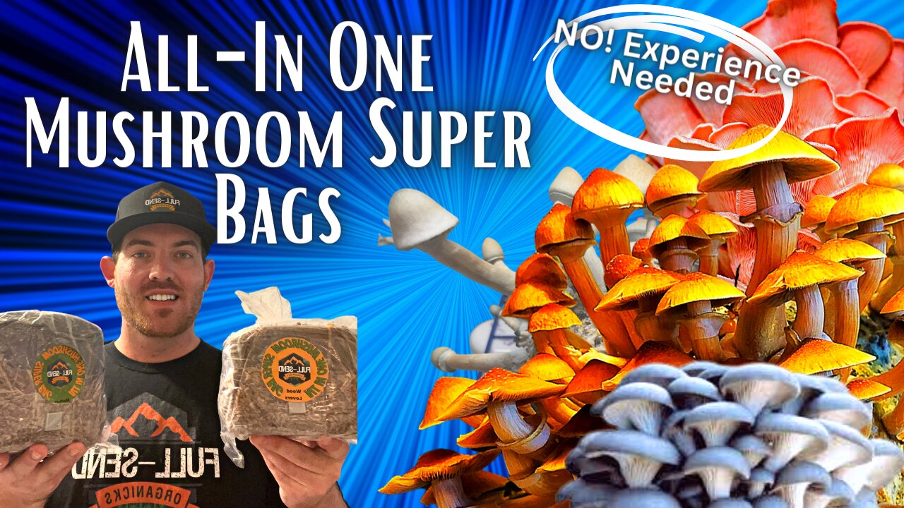 DO IT YOUR DAMN SELF! All-In-One Mushroom grow bag! Easy and Fast! No Experience Needed!!