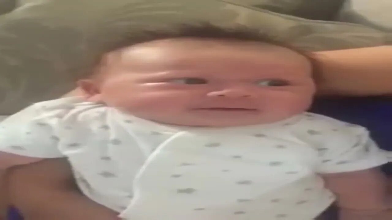 Baby Drei little squirrel