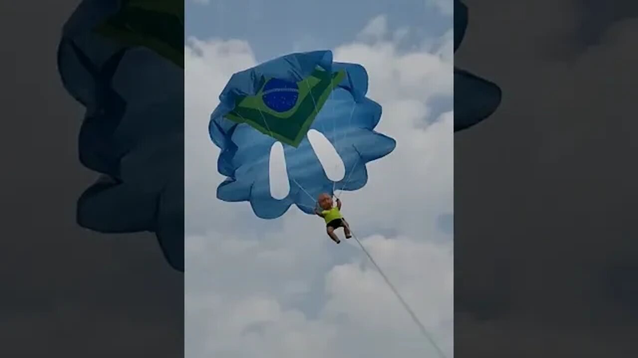 Torcida brasileira no grito de campeão.