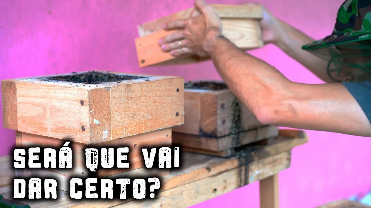 Vamos fazer DIVISÃO da nossa colmeia de ABELHAS?