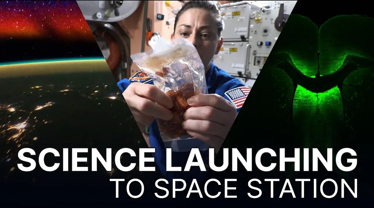 Science on Northrop Grumman's CRS-19 Mission to the Space Station