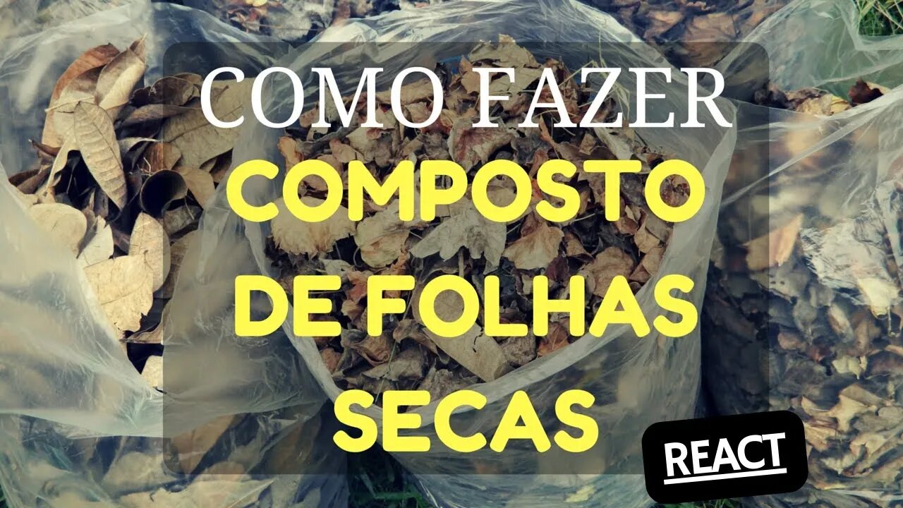 Como fazer compostagem somente com folhas secas REACT