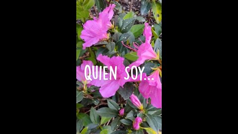 Quien Soy