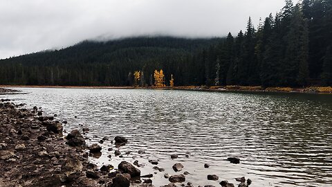 SILENT PERSPECTIVES (4K) of SERENE & PRISTINE Frog Lake in Autumn Falls Colors | Mount Hood | Oregon