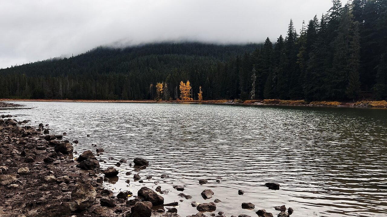 SILENT PERSPECTIVES (4K) of SERENE & PRISTINE Frog Lake in Autumn Falls Colors | Mount Hood | Oregon