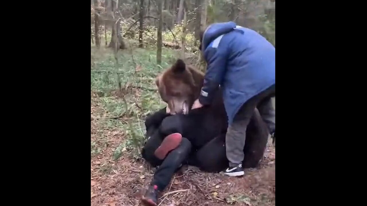 Man Mauled By Bear in Russia