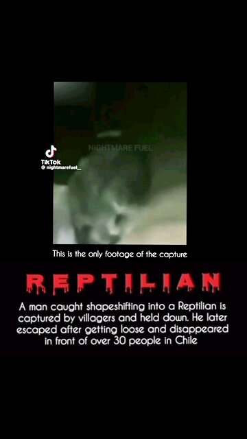 REPTILIAN IN CHILE