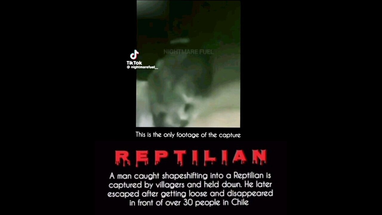 REPTILIAN IN CHILE